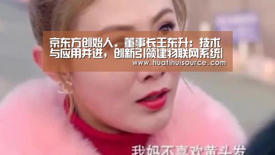 京东方创始人、董事长王东升:技术与应用并进,创新引领建物联网系统|huatihui(图2) 京东方创始人、董事长王东升:技术与应用并进,创新引领建物联网系统|huatihui(图2)