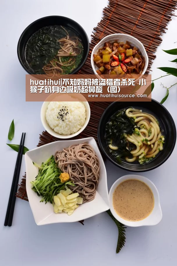 huatihui|不知妈妈被盗猎者杀死 小猴子趴身边吸奶超鼻