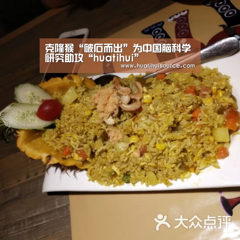 克隆猴“破石而出”为中国脑科学研究助攻“huatihui”(图1) hth华体育官方入口