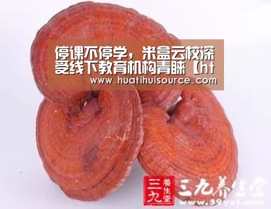 hth华体会官网