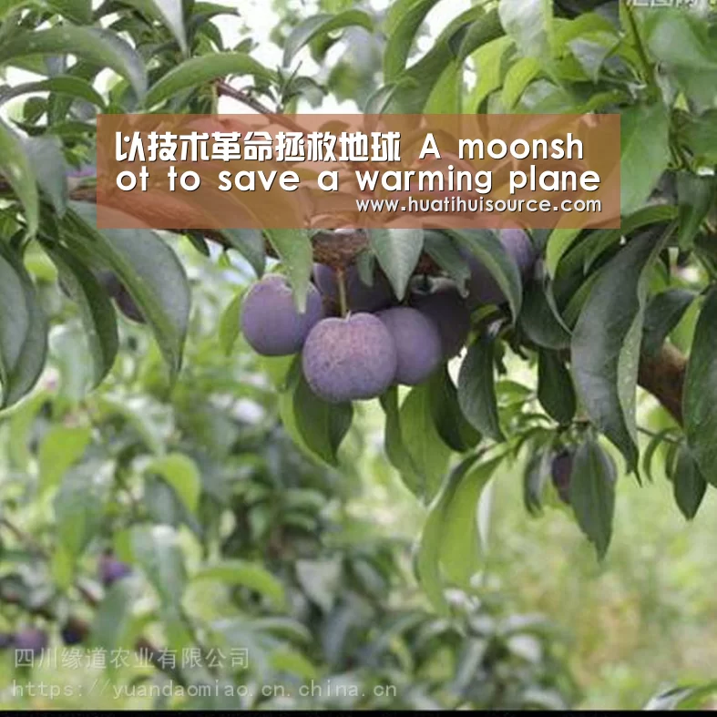 hth华体育官方入口